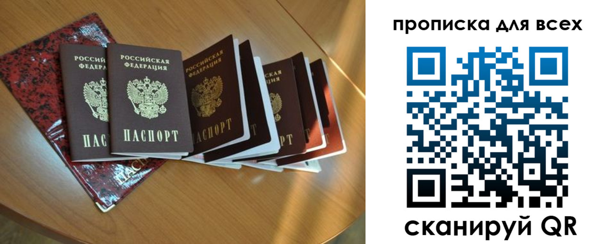 прописка для школы в Михайловке